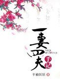 一妻四夫手記
